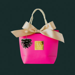 Christmas Small Gift Bag 2023